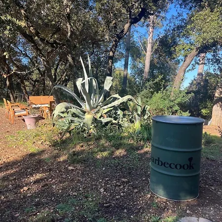 Villa Un Havre De Paix En Pleine Pinede
